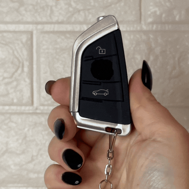 BRIQUET DE COLLECTION (GROSSE PROMO)
